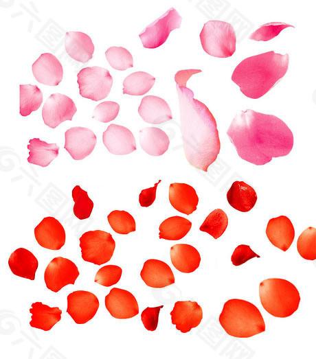 天成配资 科技股估值逻辑生变，“盈利崇拜”逐步转向“技术价值”