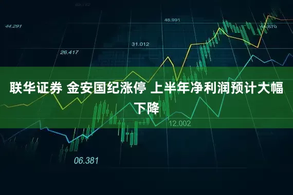 联华证券 金安国纪涨停 上半年净利润预计大幅下降