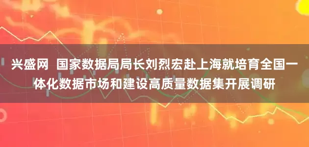兴盛网  国家数据局局长刘烈宏赴上海就培育全国一体化数据市场和建设高质量数据集开展调研