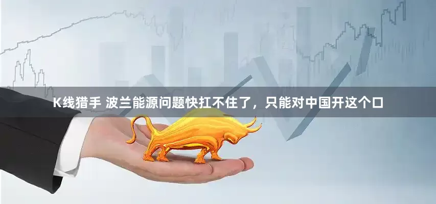 K线猎手 波兰能源问题快扛不住了，只能对中国开这个口